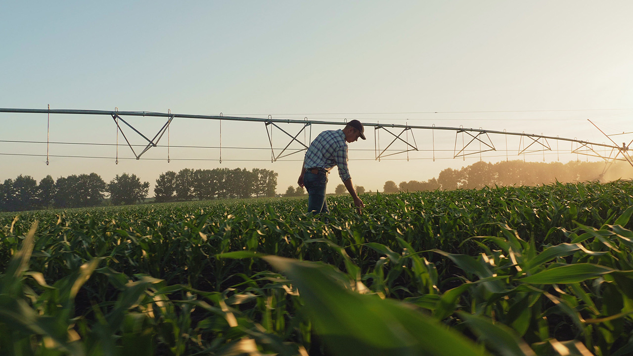 Agriculture and Farming Families