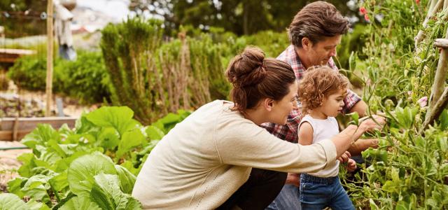 Family doing gardening