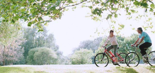 Couple Riding Bicycles